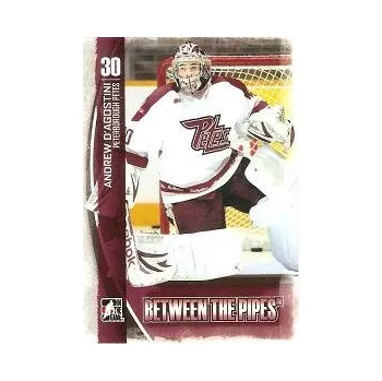 Karetní hra řadová karta ANDREW D´AGOSTINI13-14 BTP číslo 24