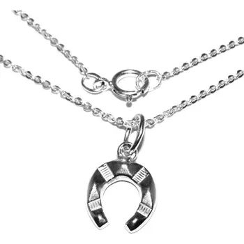 Přívěsek Stříbrný přívěsek podkova na řetízku - P24/brill (Sada přívěsek podkova na řetízku)