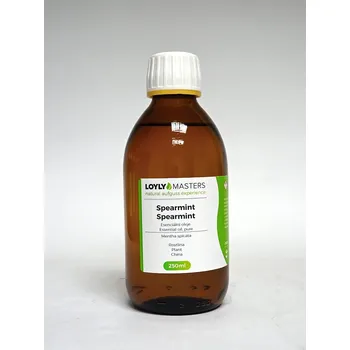 Elektroterapie 100% EO LOYLY MASTERS Spearmint (250ml)