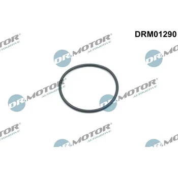 Těsnění motoru Těsnící kroužek, napínák rozvodového řemene Dr.Motor Automotive DRM01290