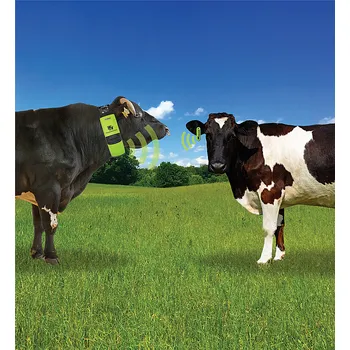 Detektor říje MOOCALL HEAT