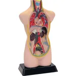 TickiT Větší anatomické rozkládací…