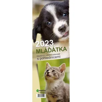 Kalendář Almatyne Nástěnný pohlednicový kalendář Mláďátka 2023