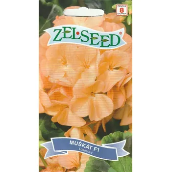 Semeno Vilmorin Pelargonie páskatá (muškát) F1 (lososová) 8 ks
