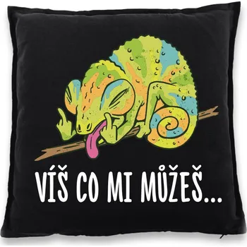 Dekorativní polštářek Vtipný polštářek Víš co mi můžeš..., Barva Černá, Velikost 40×40 cm, Canvas Bavlněný polštář Bezvatriko.cz 1030 - DTF/DTG