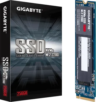 SSD disk Gigabyte 256 GB (GP-GSM2NE3256GNTD)