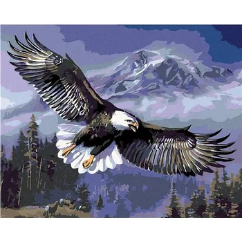 Malování podle čísel - Letící orel, 50x40 cm, bez rámu a bez vypnutí plátna