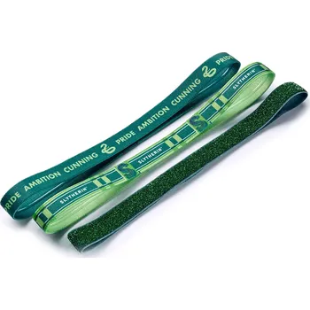 Karnevalový kostým Carat Shop Sada gumových čelenek - Zmijozel