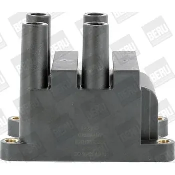 Zapalovací cívka Zapalovací cívka BorgWarner (BERU) ZS556