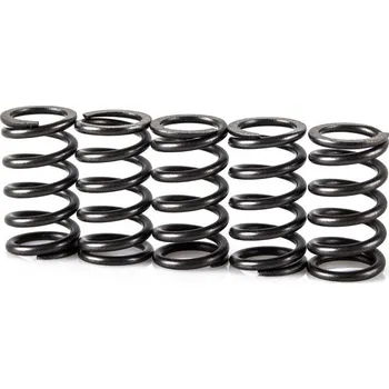 Spojková sada Pružiny spojky sada MOTION STUFF STF-501-5003