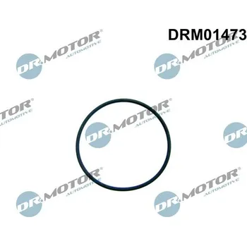 Palivový systém Těsnění, palivové čerpadlo Dr.Motor Automotive DRM01473