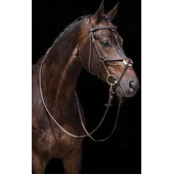 Věšák na sedlo a uzdečku HKM Uzdečka Mexican Style HKM, hnědá COB