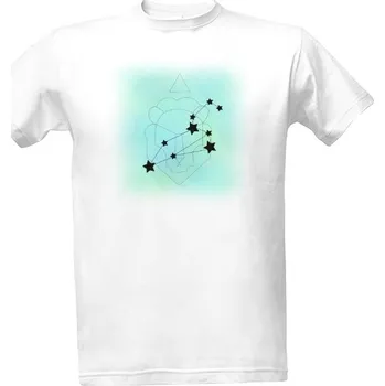 Pánské tričko Tričko s potiskem Jsem lev pánské