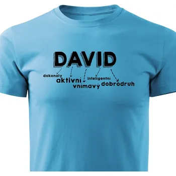 Pánské tričko David Barva: Tyrkysová, Velikost: XXXL