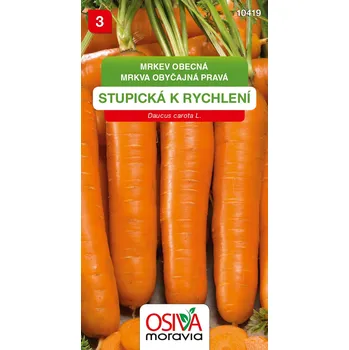 Semeno Mrkev - Stupická k rychlení