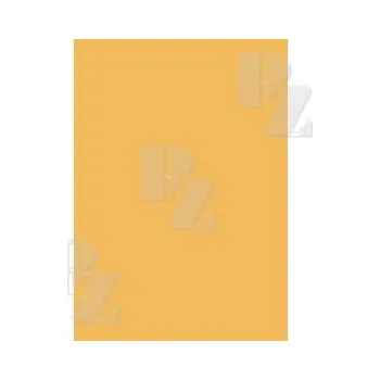 Výtvárné potřeby Karton 50x70 oboustranný 300 g/m2 meruňkový, Herlitz