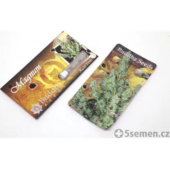 Semeno Magnum Auto fem. | Buddha (balení 50)