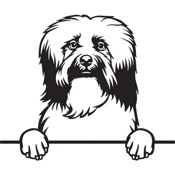 Vsepropejska Havanský pes 2 dřevěná dekorace na zeď Rozměr (cm): 38 x 32