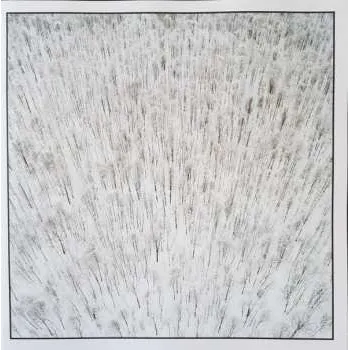 Zahraniční hudba 2LP Ride: 4 EPs LTD | CLR 2023 White Coloured Vinyl Limited Edition