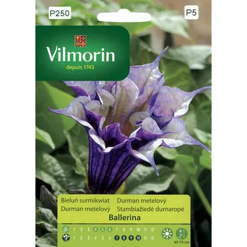 Semeno Vilmorin Premium Durman metelový Ballerina mix 5 ks