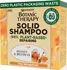 Šampon Garnier Botanic Therapy Honey & Beeswax Solid Shampoo regenerační tuhý šampon pro velmi poškozené vlasy 60 g