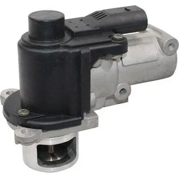 Ventil palivového systému AGR-Ventil MAGNETI MARELLI 571822112083