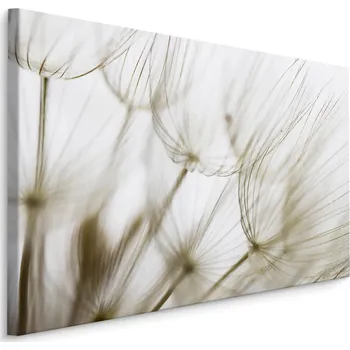 Obraz Plátno Odkvétající Pampeliška III. Varianta: 30x20