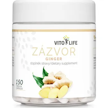 Ostrovit Chaga extract 50 g