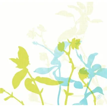 Papírový ubrousek Ubrousek 40x40cm Dunisoft ELISE, 60 ks v balení 100031272