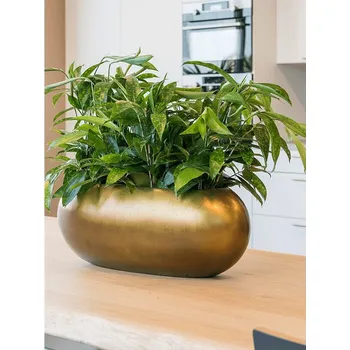 Dámské lodičky Metallic lodička honey 56x23x20cm - Do interiéru