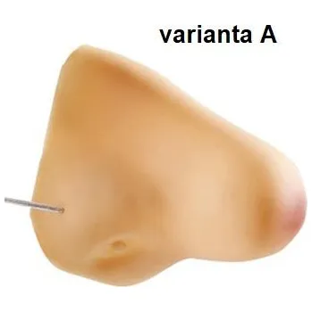 Karnevalový doplněk WIDMANN Nos na gumičku, varianta A