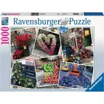 Ravensburger Květiny v New Yorku 1000…
