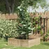 Opora na rostlinu Opora pro zahradní rostliny s kroužky 75 cm zelená 5 ks