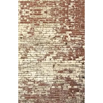 Obklad Vliesový panel 103438204 Kamenný dekor 200x310 cm