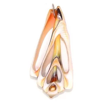 Přívěsek Stříbrný přívěsek přírodní lastura - P3439 (Stříbrný přívěsek lastuta )