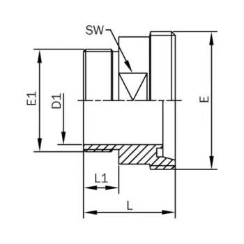 Vodovodní potrubí Závitové hrdlo k zašroubování-leštěné-1.4301: DN 15/BSP G 1/2"