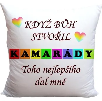 Dekorativní polštářek Polštář 40 x 40 cm - Když bůh stvořil kamarády