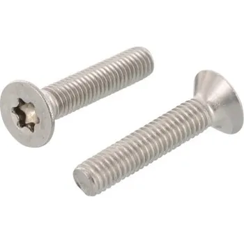 Šroub Nerezový šroub ISO 10642 A2 M 5X12 TX25