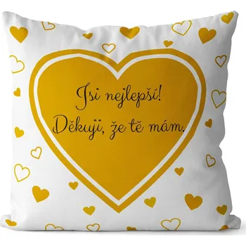 Dekorativní polštářek Polštář 40 x 40 cm - Jsi nejlepší. Děkuji, že tě mám