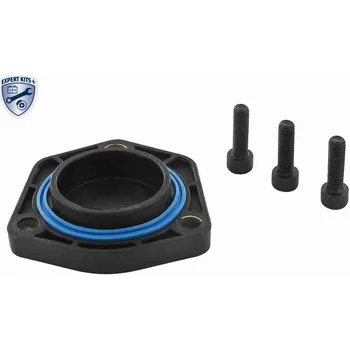 Těsnění motoru Těsnění, olejová vana VAICO V10-2638