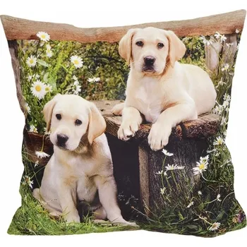 Povlak na dekorativní polštářek Fotonávlek, povlak na polštářek Kamarádi Retrívři