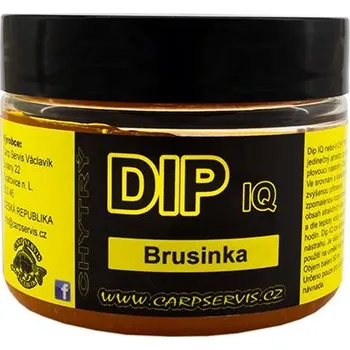 Návnadové aroma IQ DIP 60 ml Slunečnice