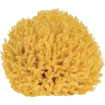 Croll & Denecke Přírodní mořská mycí houba