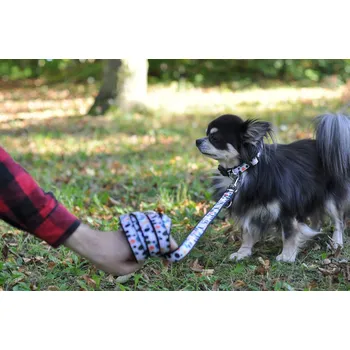 Vodítko pro psa Vsepropejska Lucky přepínací vodítko pro psa | 220 cm