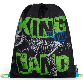 Školní sáček Sáček na cvičky, Dino premium