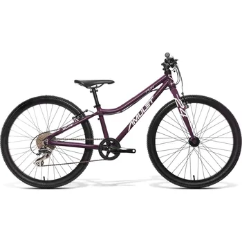 Amulet Fun 24" 2023