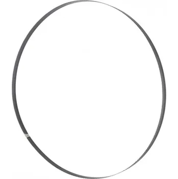 Pilový kotouč Holzmann Maschinen BSB300B6 pilový kotouč 2240 x 6 x 0.36 1 ks Vhodné pro model (pilový pás) HBS300J_230V