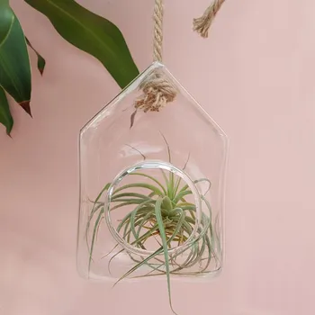 Domeček skleněné terárium závěsné na laně