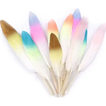 Lapač snů Peří ombré s glitry délka 10-14 cm, mix (sada)