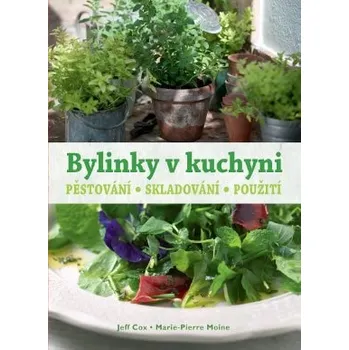 Slovart Bylinky v kuchyni